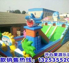 高清图片与气模玩具 视觉盛宴与欢乐体验的完美结合